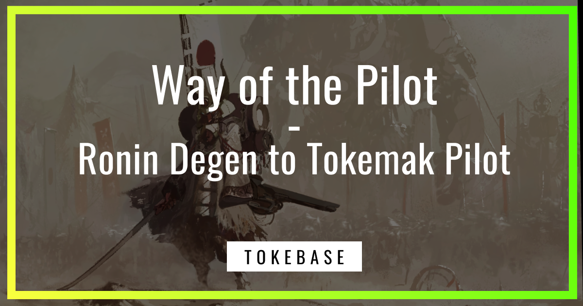 Way of the Pilot: Ronin Degen to Tokemak Pilot